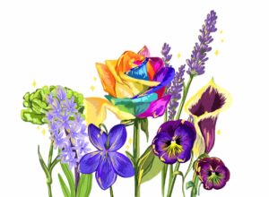 Illustration of many flowers, mostly purple, one green and one rainbow rose.