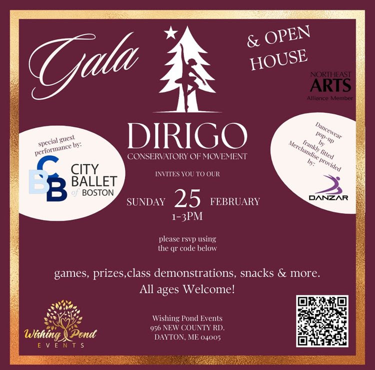 Gala graphic with partner logos and event information centered.