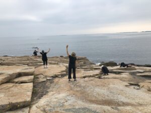 Dancing with the rocks and sea near Windhover